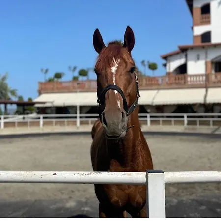 Coastal Comfort * غوليم